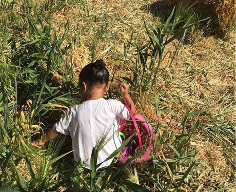 North West Easter Egg Hunt