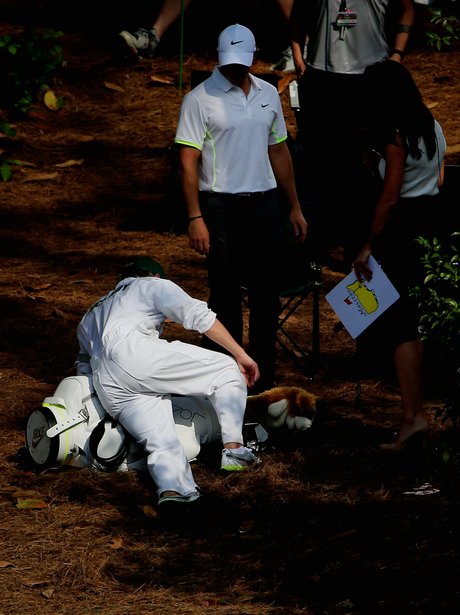 Niall Horan Falling Over Golf Caddying