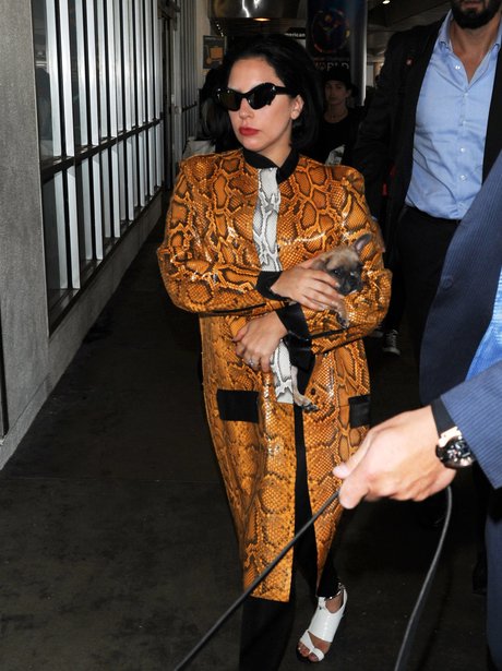 Lady Gaga wearing a snakeskin jacket