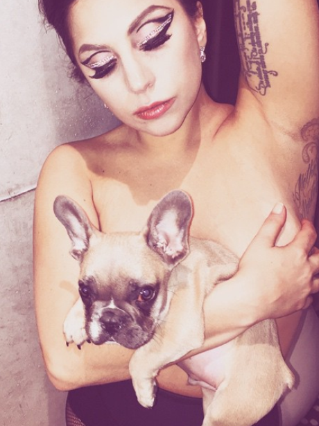 Lady Gaga Topless Dog