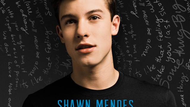 Shawn Mendes 'Handwritten' Album Promo