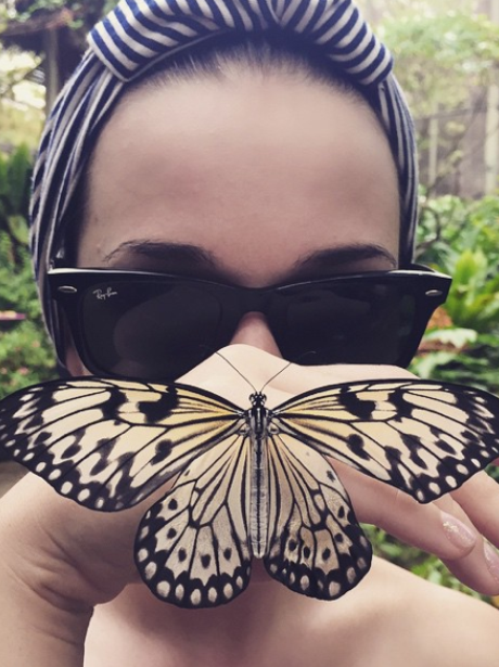 Katy Perry Butterfly