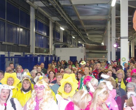 Tenovus Goodnight Walk 2015