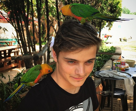 Martin Garrix Instagram
