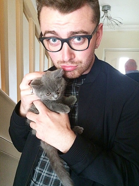 Meet Sam Smith's new arrival... Henry the cat! - This Week's MUST-SEE ...