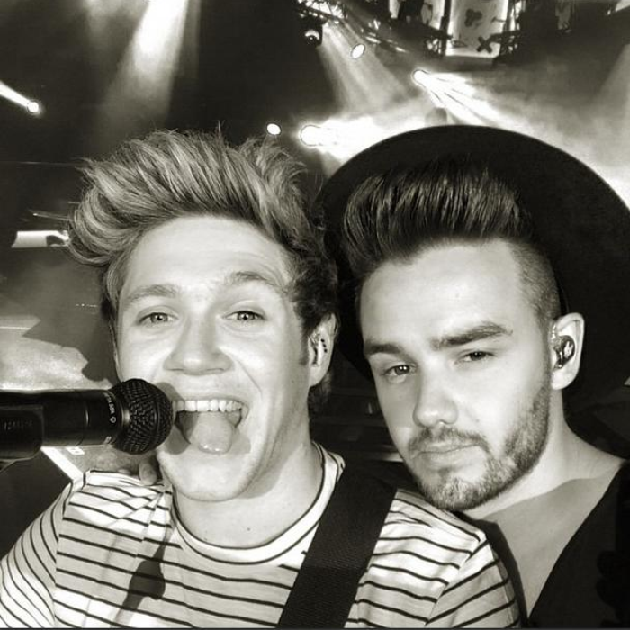 “She’s A Great Girl”: Niall Horan TOTALLY Approves Of Liam Payne Dating ...
