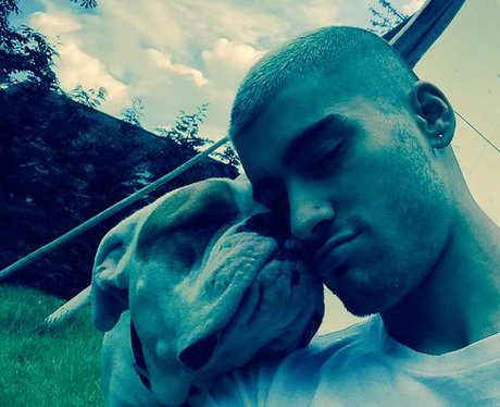 Zayn Malik and his dog