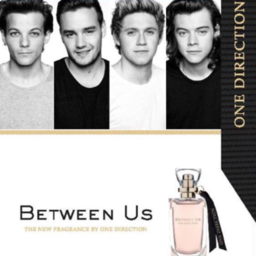 Unir Morgue Resentimiento WATCH: One Direction's 'Between Us' Perfume Advert Is Actually Our  Favourite Thing Ever - Capital