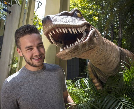 Liam Payne at Universal Orlando Resort