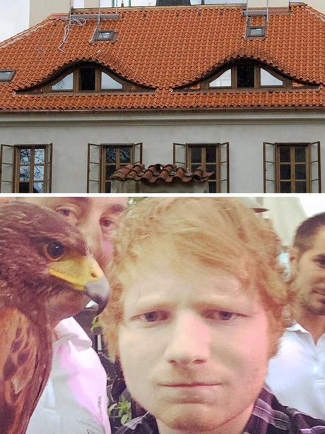 Buildings that look like celebs