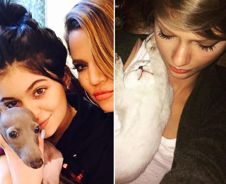 Kardashian Selfie Comparisons
