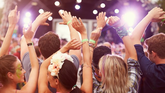 Concert/Gig/Festival