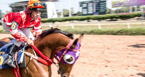Horse Racing 