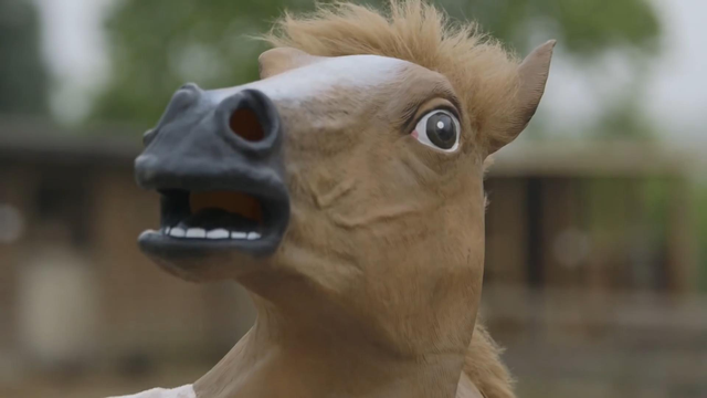 Horse video still