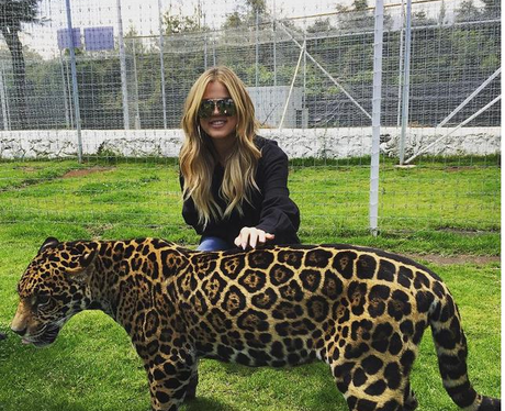 Khloe Kardashian Tiger