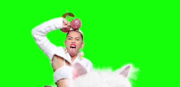 Miley Cyrus giant cat