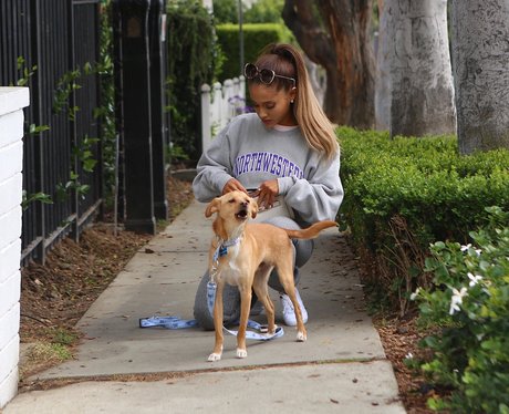 Ariana Grande and her dog