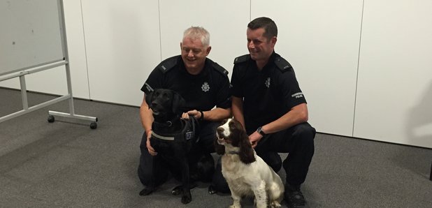 humberside police sniffer dogs 