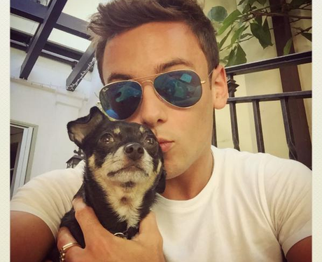 Tom Daley and Dog on instagram