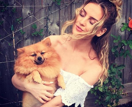 Perrie Edwards dog Instagram