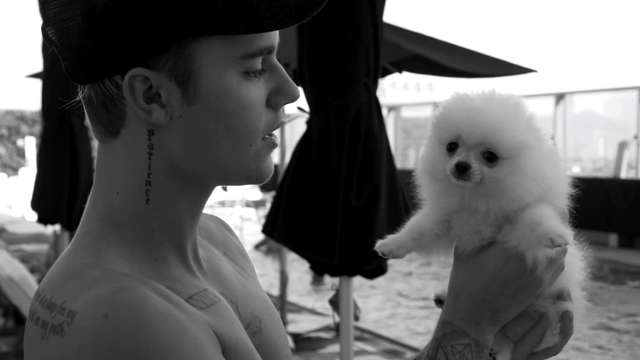 Justin Bieber What Do You Mean Acoustic With Puppy