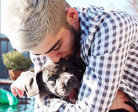 Zayn Malik Selfie Instagram