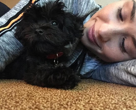 Demi Lovato Dog Instagram
