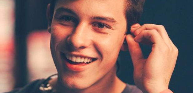 Shawn Mendes' Guide To Everything In The Whole Wid