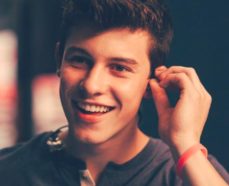 Shawn Mendes' Guide To Everything In The Whole Wid