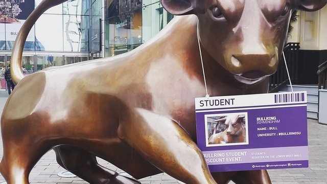 Bullring Student