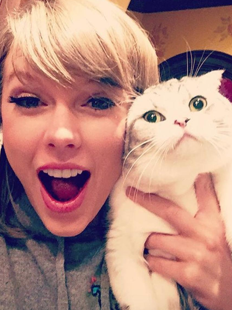 Taylor Swift Cat