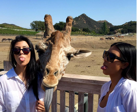 Kim and Kourtney Kardashian Zoo
