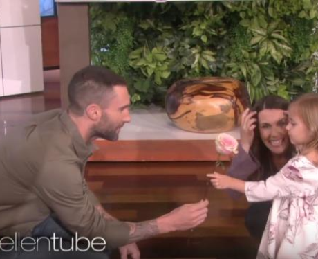 Adam Levine meets Mila