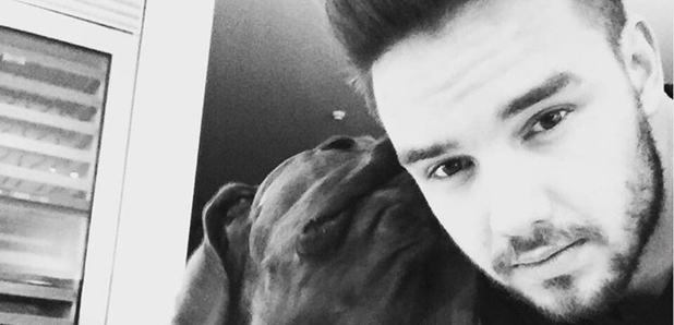 Liam Payne and his dog 