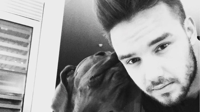 Liam Payne and his dog 