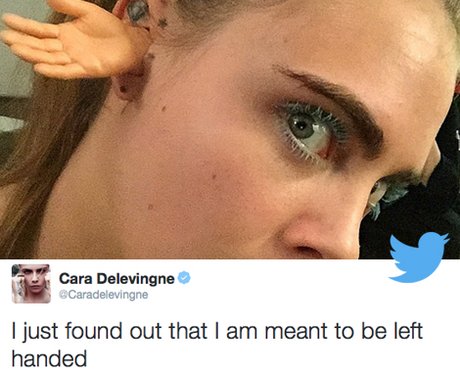 Best Tweets 13 November