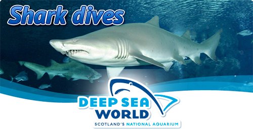 deep sea world article