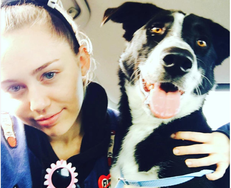 Miley Cyrus and Dog