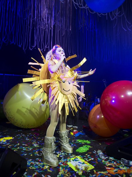 Miley Cyrus 'Miley Cyrus and Her Dead Petz'