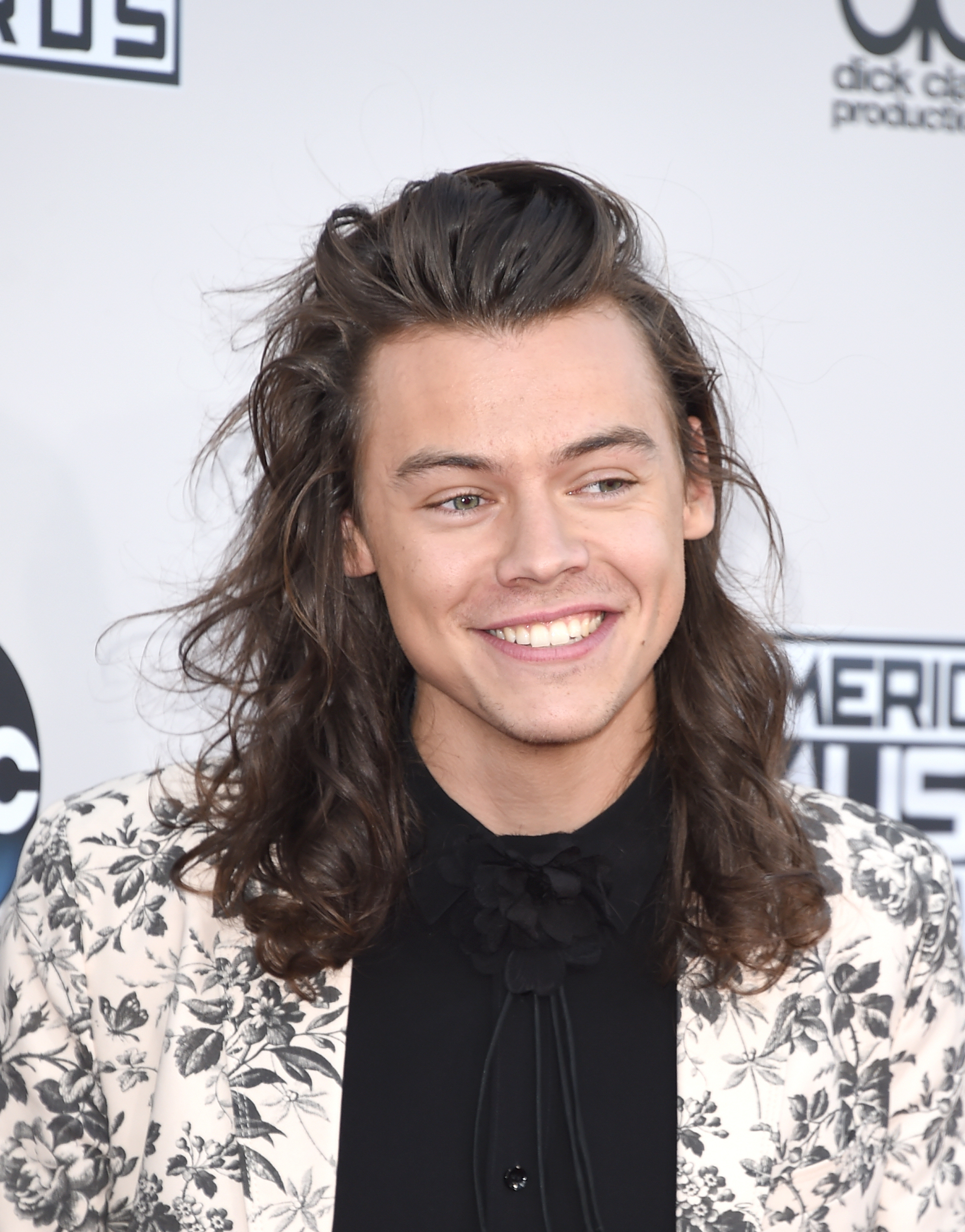 Harry Styles 2015