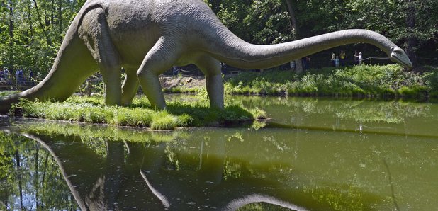 A model of a Diplodocus