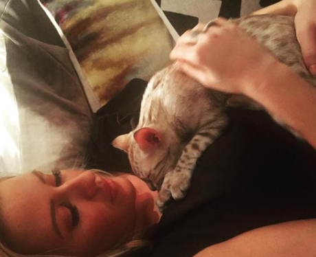 Ellie Goulding Cat Instagram