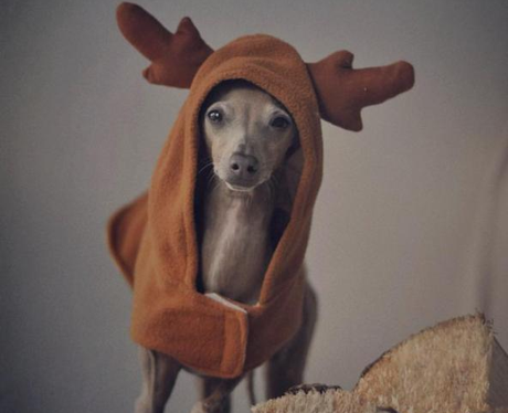 Justin Bieber Winter Holiday Instagram