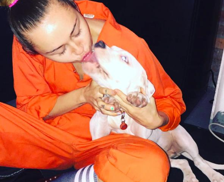 Miley Cyrus