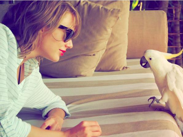 Taylor Swift Instagram