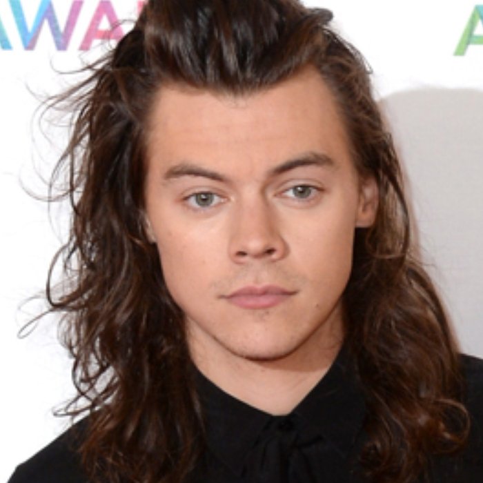 harry styles hair