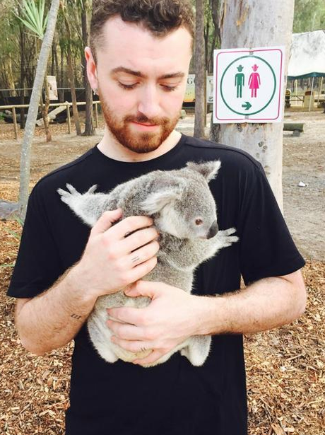 Sam Smith Koala Bear Instagram