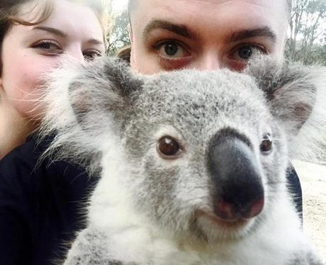 Sam Smith Koala Bear Selfie Instagram