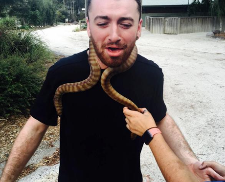 Sam Smith Snake Instagram