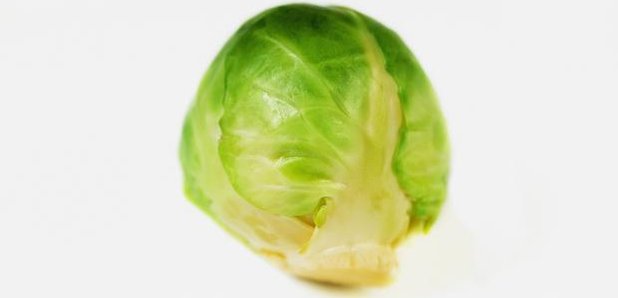 Sprout
